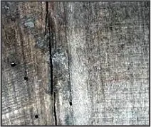 Replace Rotten & Worn Wood